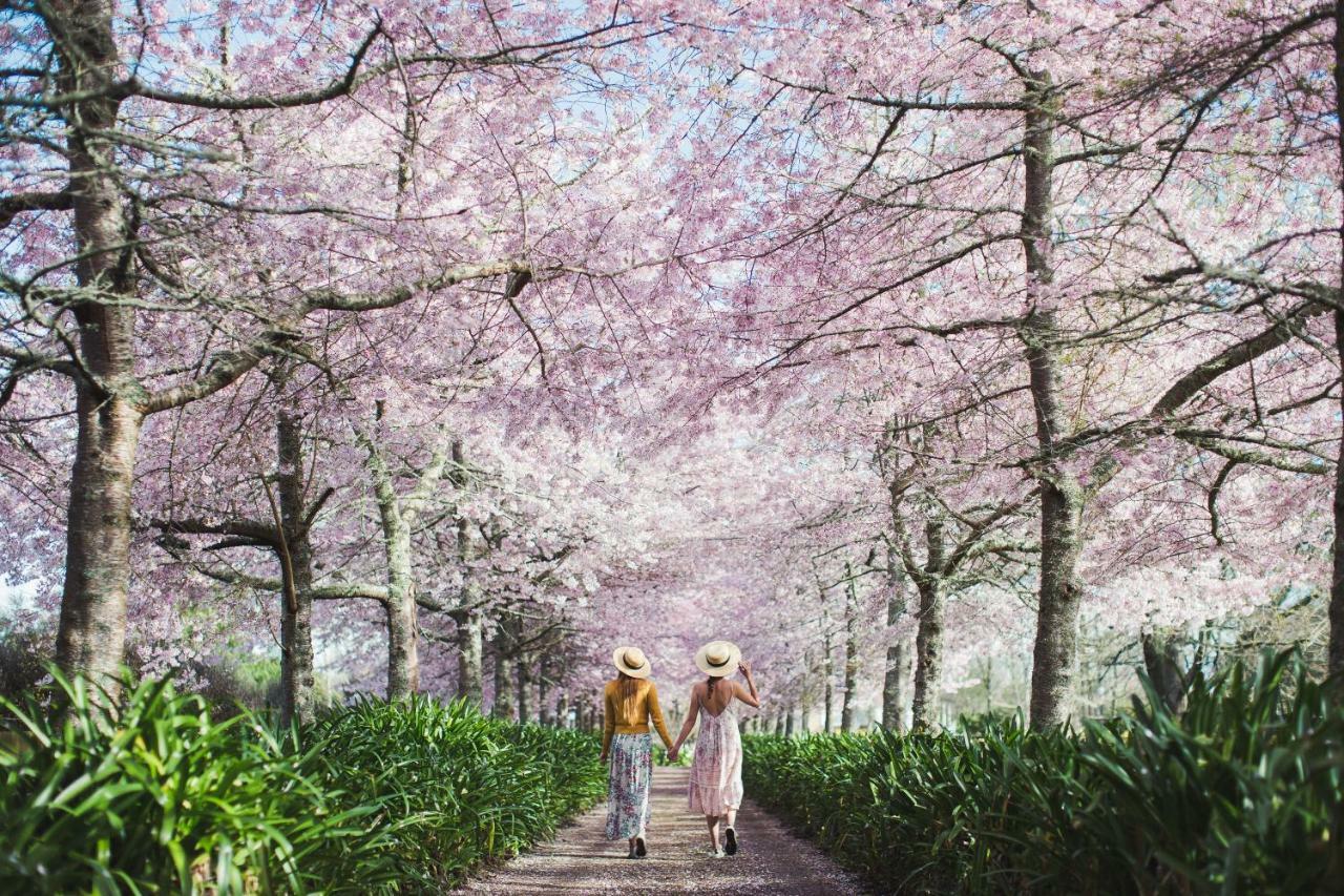 English Cherry Tree Manor Tamahere Esterno foto